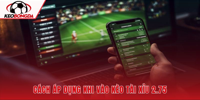 Tài xỉu 2.75 với khoản cược chia đôi